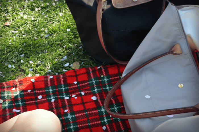 What to expect at the National Cherry Blossom Festival in Washington DC