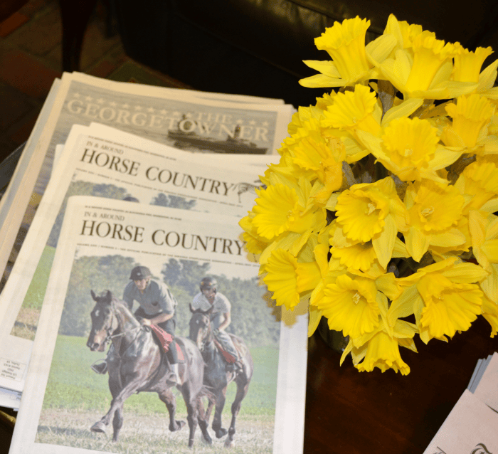 Wining and Dining in Historic Horse Country: Things to do in Middleburg, Virginia