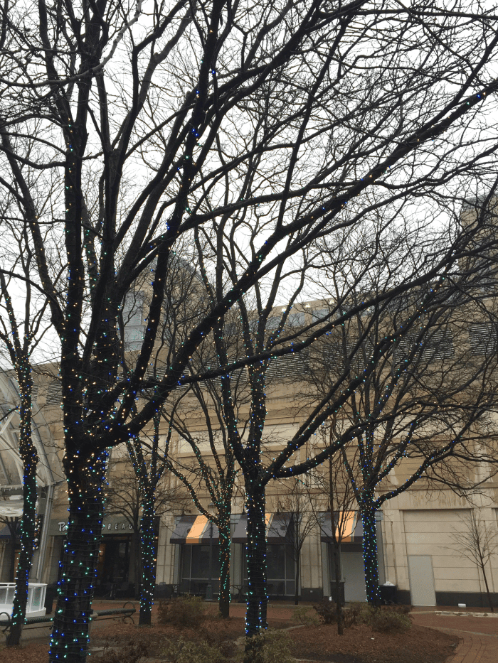 Winter trees. Beautiful. New Year's, 2015, Washington DC, Middleburg, Virginia, Reston Town Center