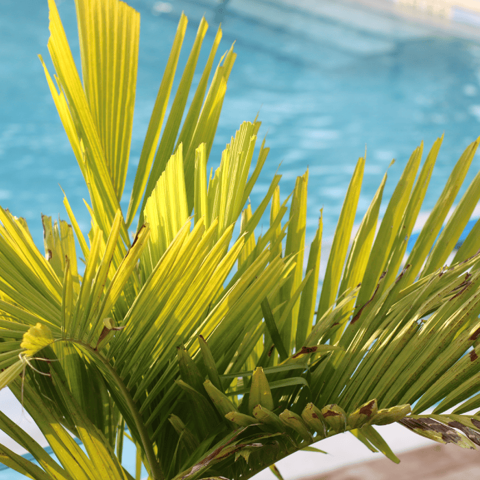 Key West Weekend Travel Guide: What to Do and Where to Stay Key West Weekend Travel Guide: What to Do and Where to Stay