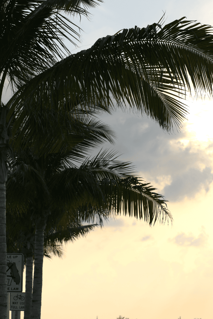 Key West Weekend Travel Guide: What to Do and Where to Stay Key West Weekend Travel Guide: What to Do and Where to Stay