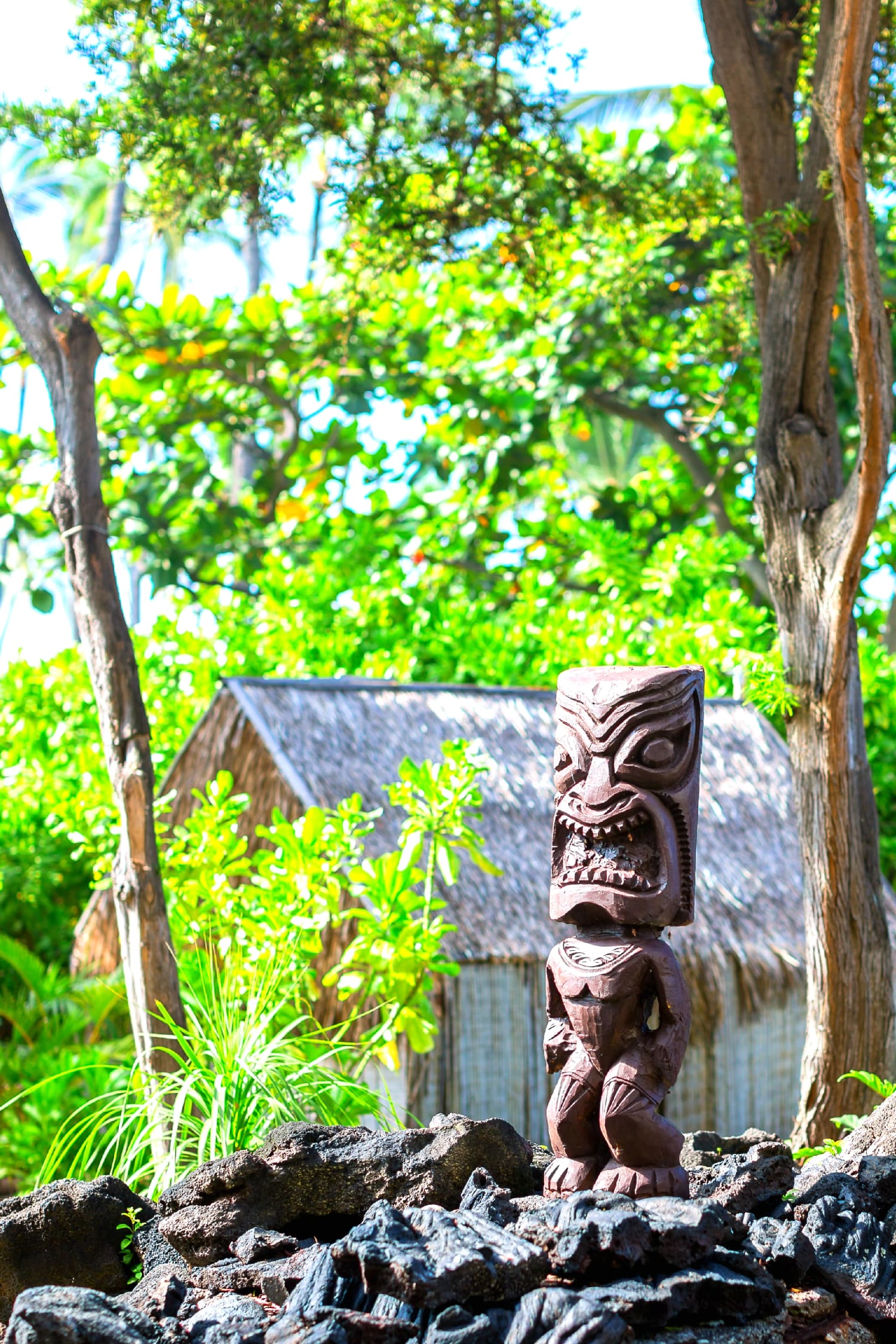 Big Island Travel Guide