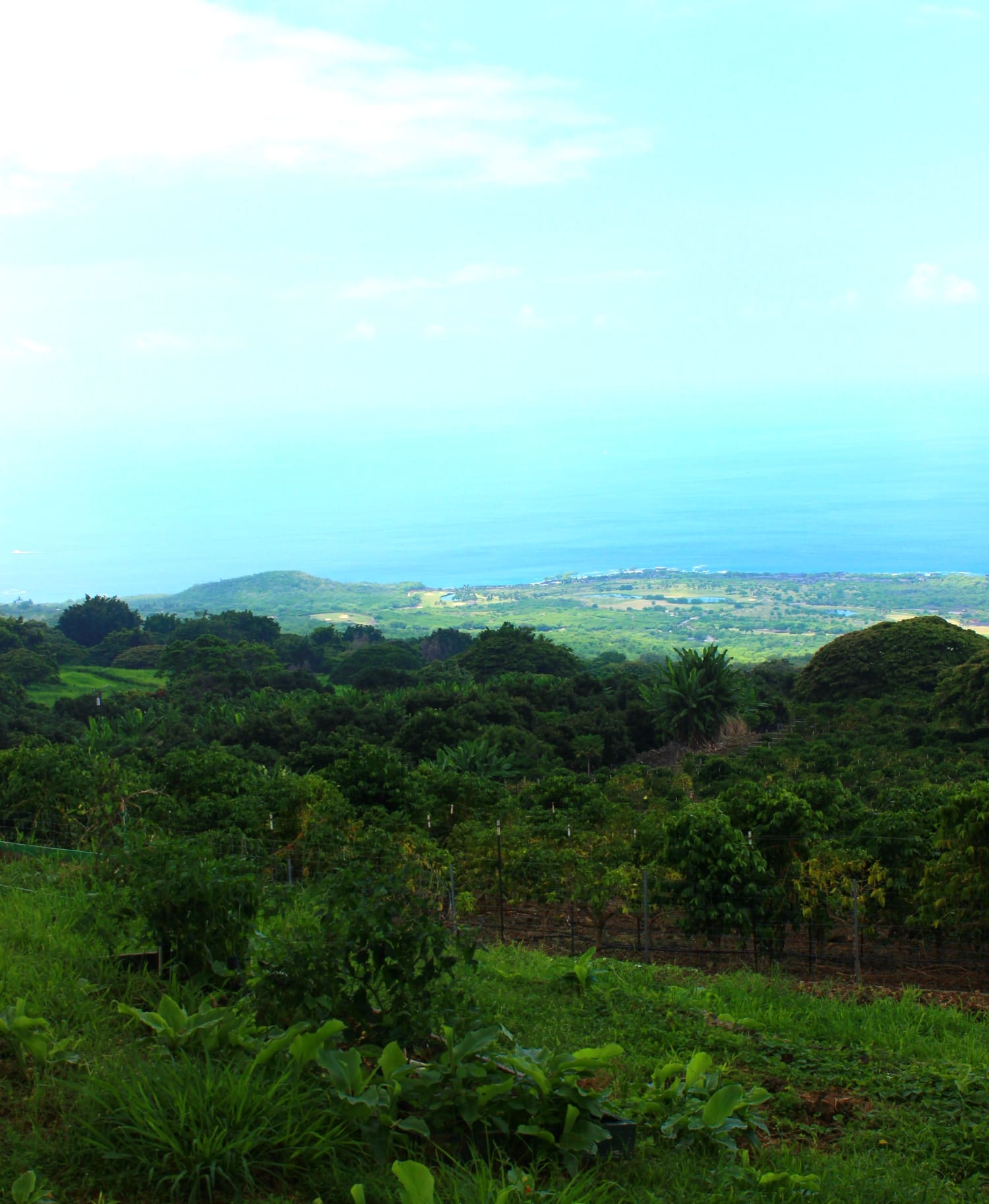 Big Island Travel Guide Big Island Travel Guide