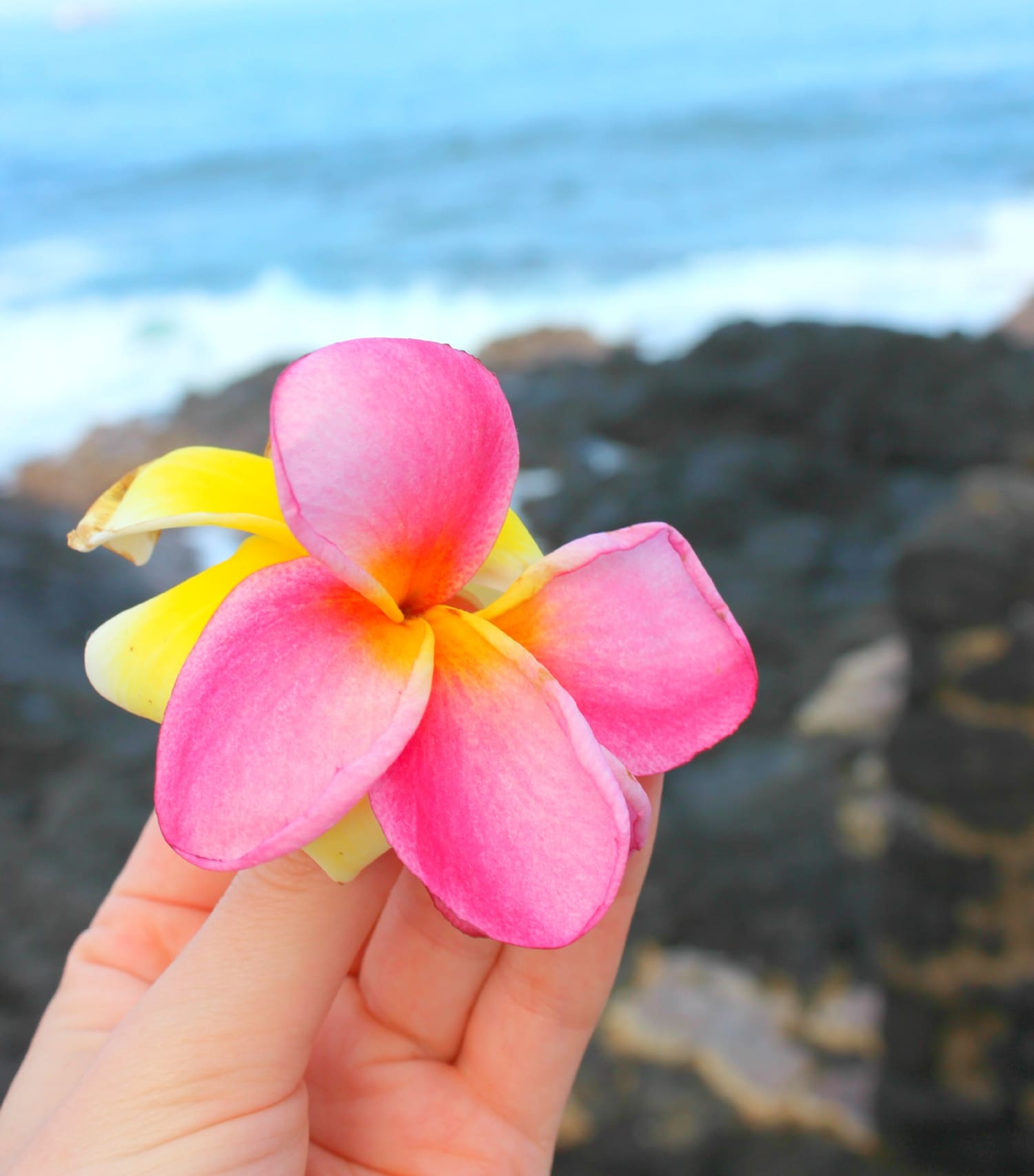 Big Island Travel Guide Big Island Travel Guide