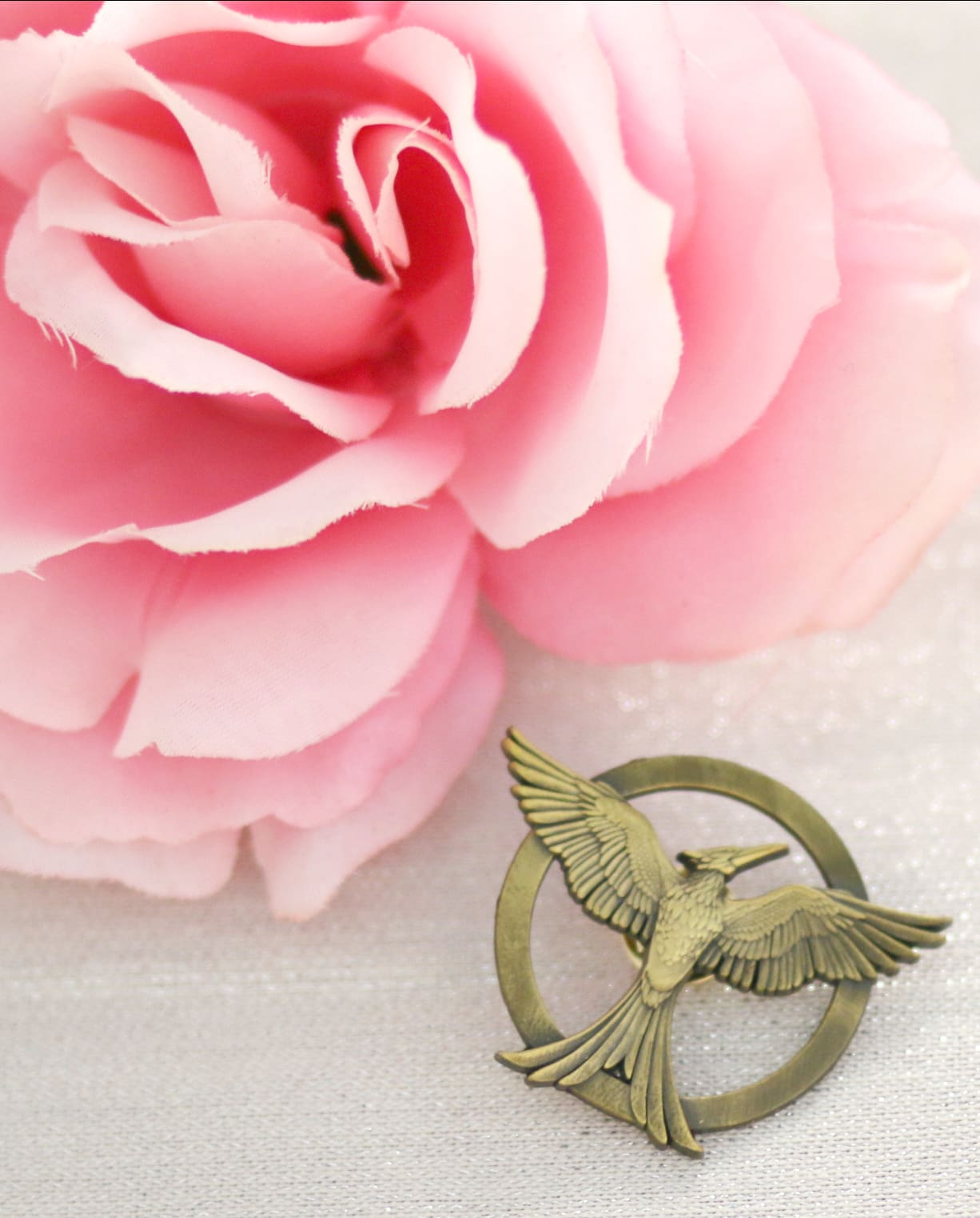The Hunger Games, Mockingjay, The Hunger Games Finale, Hunger Games Watch Party, Stephanie Ziajka, Diary of a Debutante