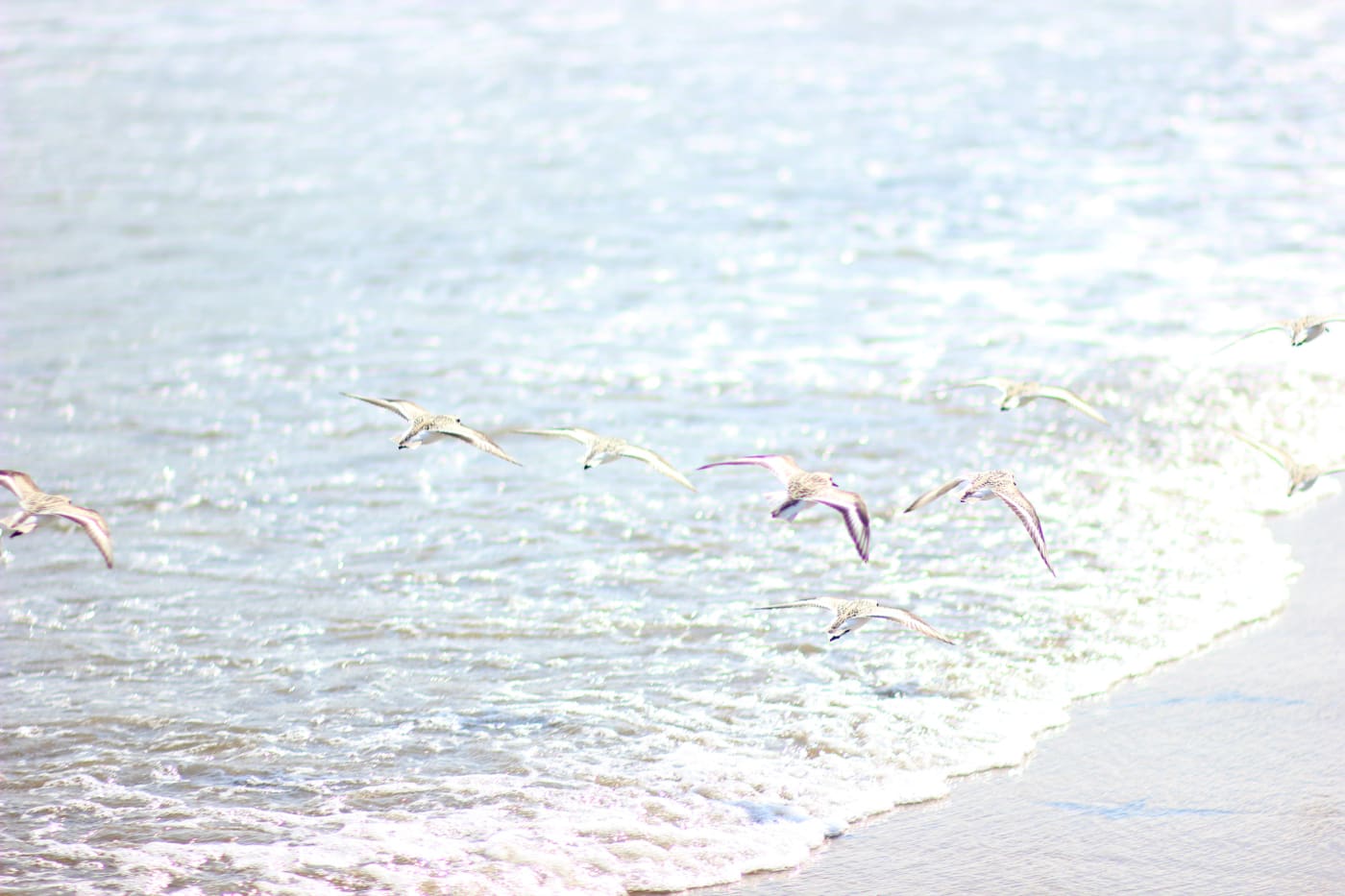 Celebrating summer on Narragansett Town Beach with the best spray tanning glow from Palm Beach Tan