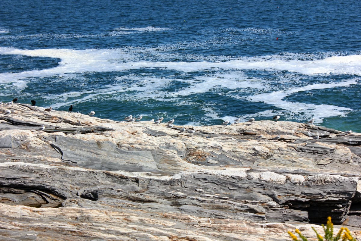 A collection of Maine travel ideas for summer, fall, and winter