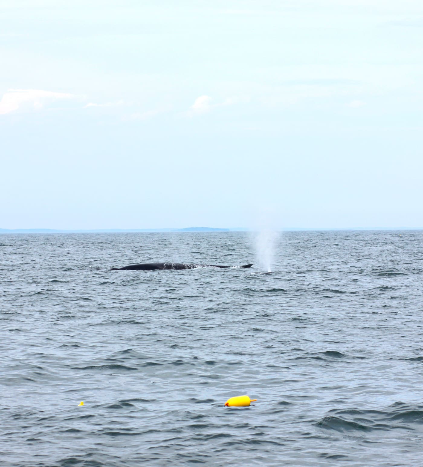 A collection of Maine travel ideas for summer, fall, and winter