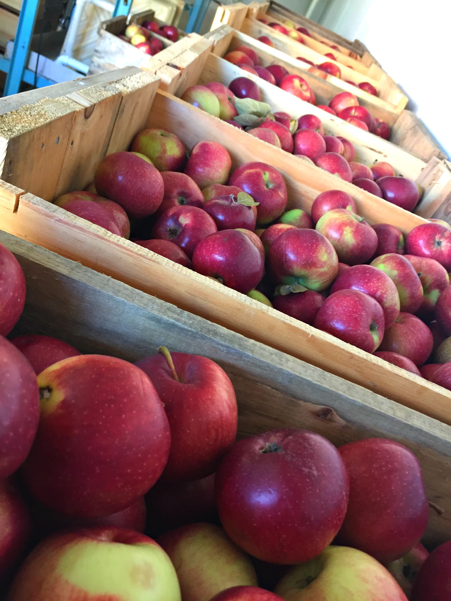Top 10 things to do in Maine