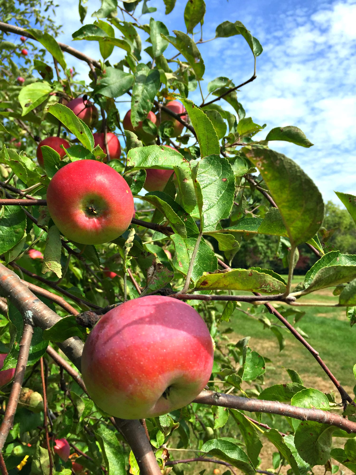 Top 10 things to do in Maine