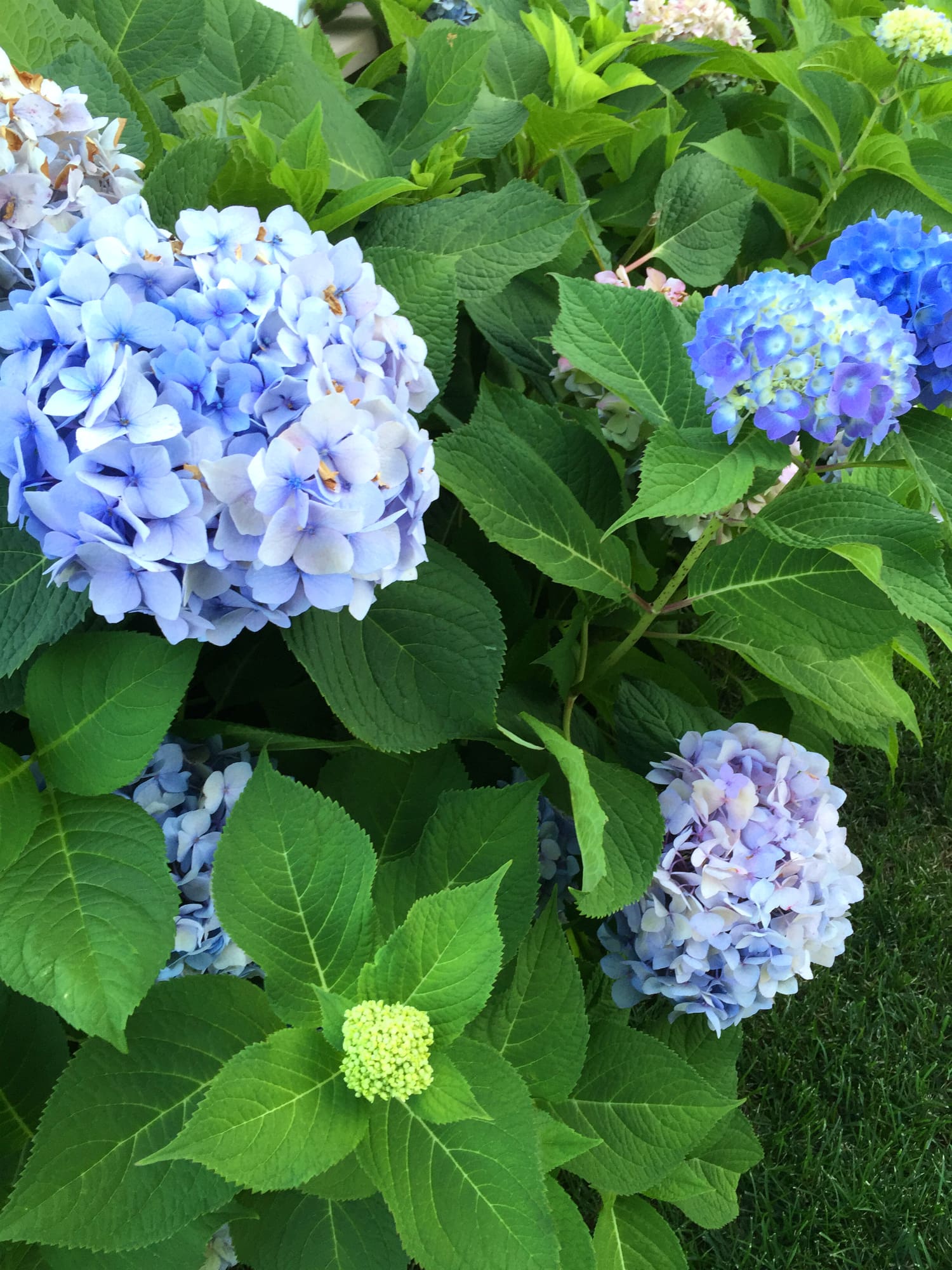 Cute Instagram ideas for April from @stephanieziajka