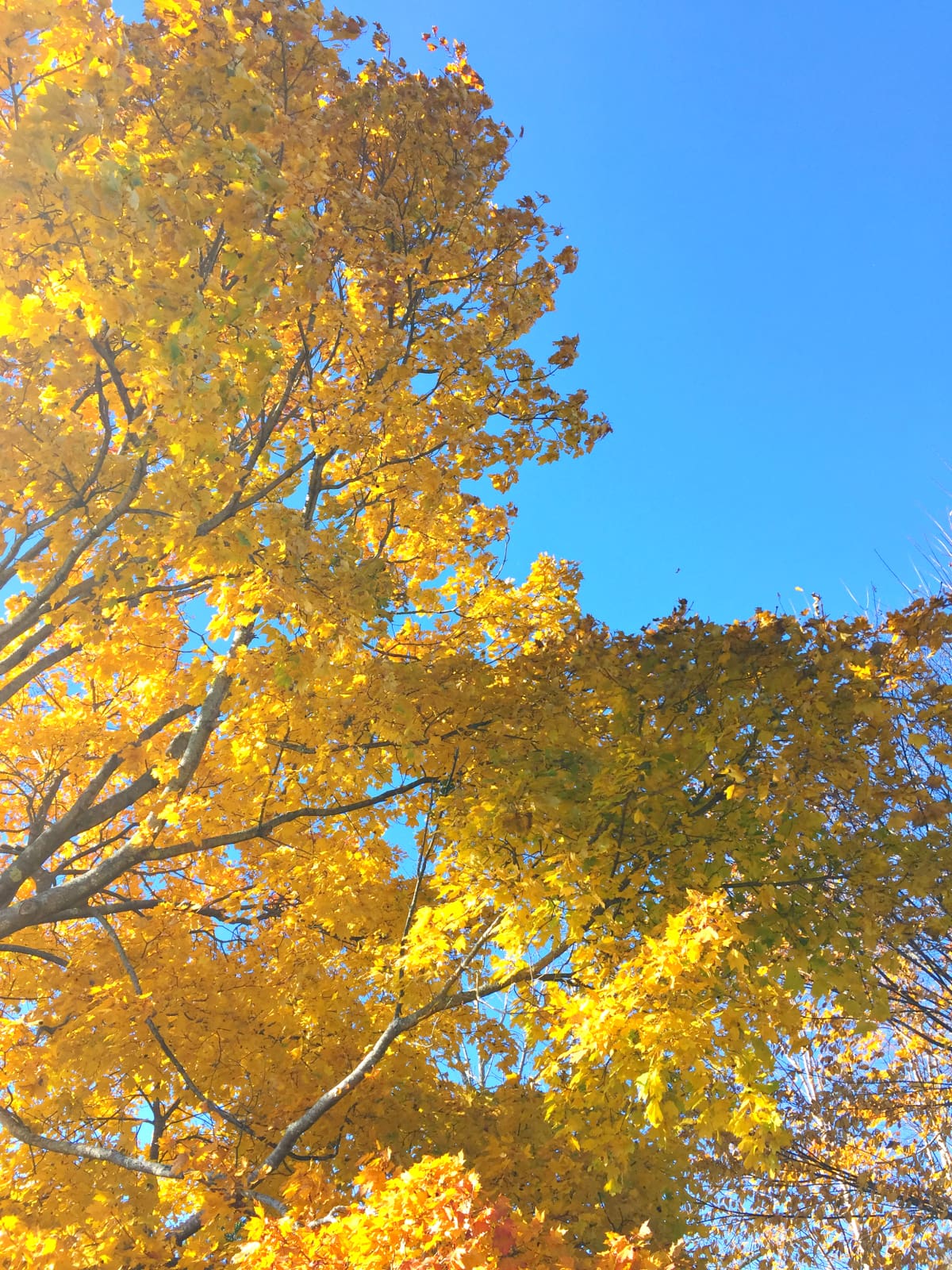 Top 10 things to do in Maine