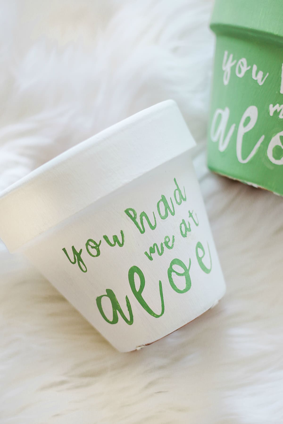 "You Had Me at Aloe" DIY succulent planter by southern blogger Stephanie Ziajka from Diary of a Debutante, gift idea for new neighbors, easy clay pot craft ideas, terracotta ideas, cute aloe vera planter, American Greetings featured artists cards "You Had Me at Aloe" DIY succulent planter by southern blogger Stephanie Ziajka from Diary of a Debutante, gift idea for new neighbors, easy clay pot craft ideas, terracotta ideas, cute aloe vera planter, American Greetings featured artists cards
