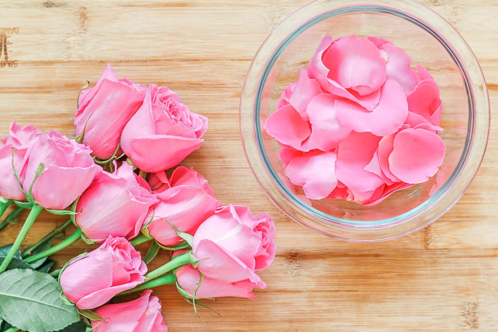 DIY rose sugar scrub recipe made with white sugar, coconut oil, rose essential oil, and fresh rose petals by southern blogger Stephanie Ziajka from Diary of a Debutante, DIY sugar scrub recipe, diy sugar body scrub, diy sugar scrub gift, best diy sugar scrub DIY rose sugar scrub recipe made with white sugar, coconut oil, rose essential oil, and fresh rose petals by southern blogger Stephanie Ziajka from Diary of a Debutante, DIY sugar scrub recipe, diy sugar body scrub, diy sugar scrub gift, best diy sugar scrub