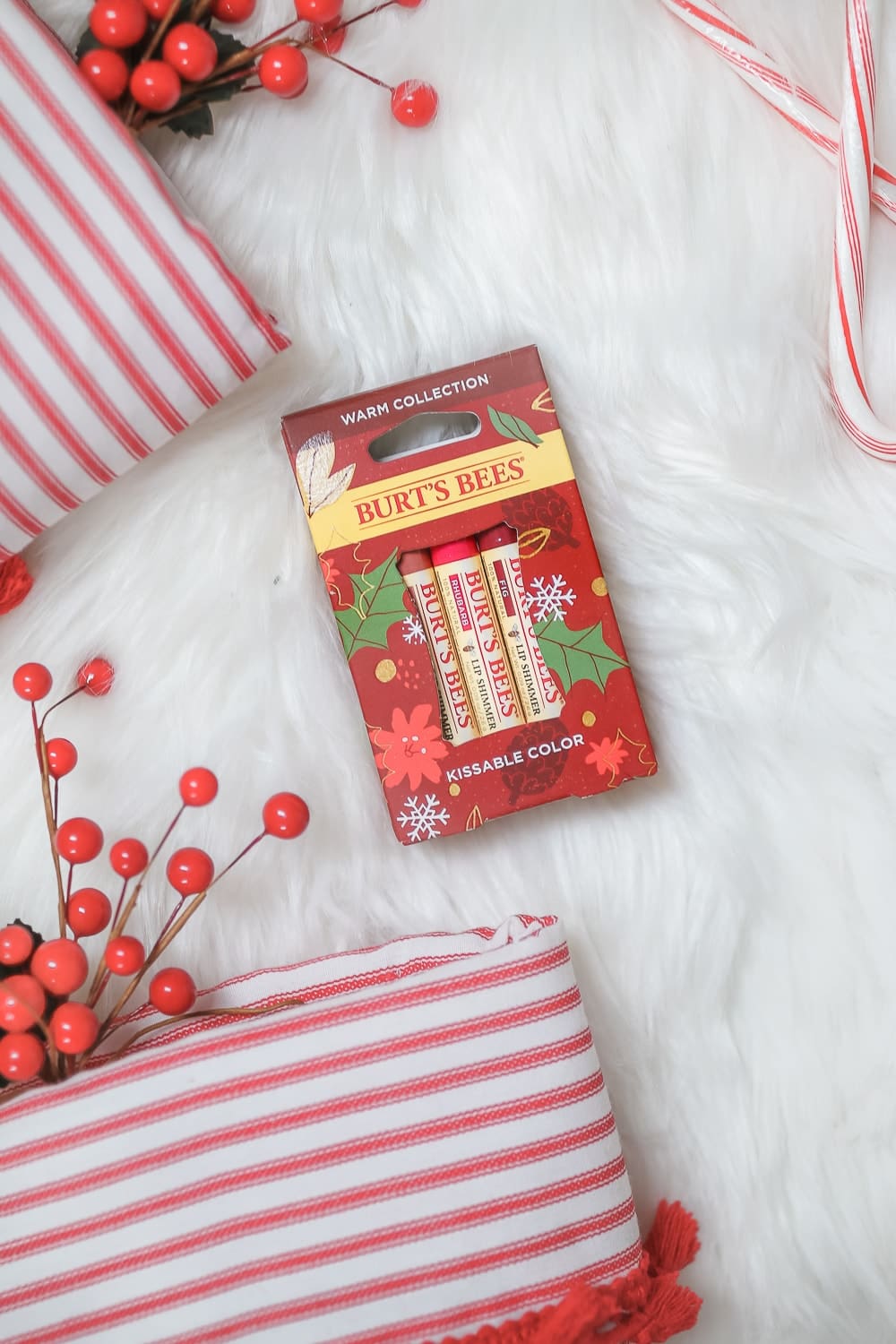 Blogger Stephanie Ziajka shares why the Burt's Bees Mistletoe Kiss Gift Set is a perfect stocking stuffer for teens on Diary of a Debutante Blogger Stephanie Ziajka shares why the Burt's Bees Mistletoe Kiss Gift Set is a perfect stocking stuffer for teens on Diary of a Debutante