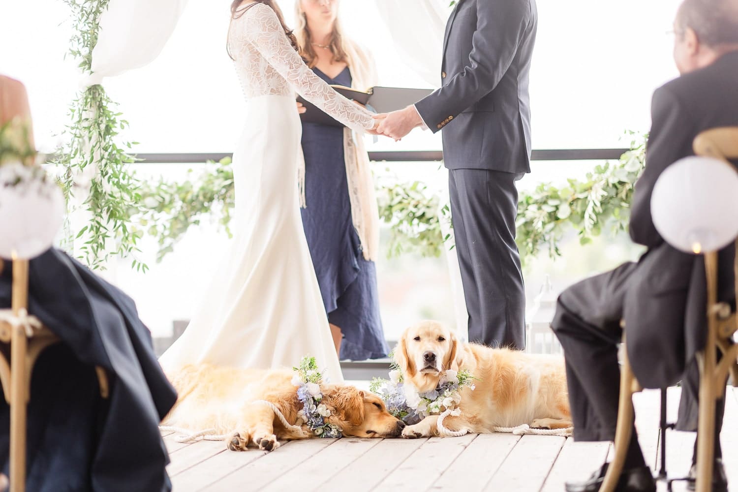 Blogger Stephanie Ziajka shows how she included her golden retrievers in her Camden Maine wedding ceremony on Diary of a Debutante Blogger Stephanie Ziajka shows how she included her golden retrievers in her Camden Maine wedding ceremony on Diary of a Debutante