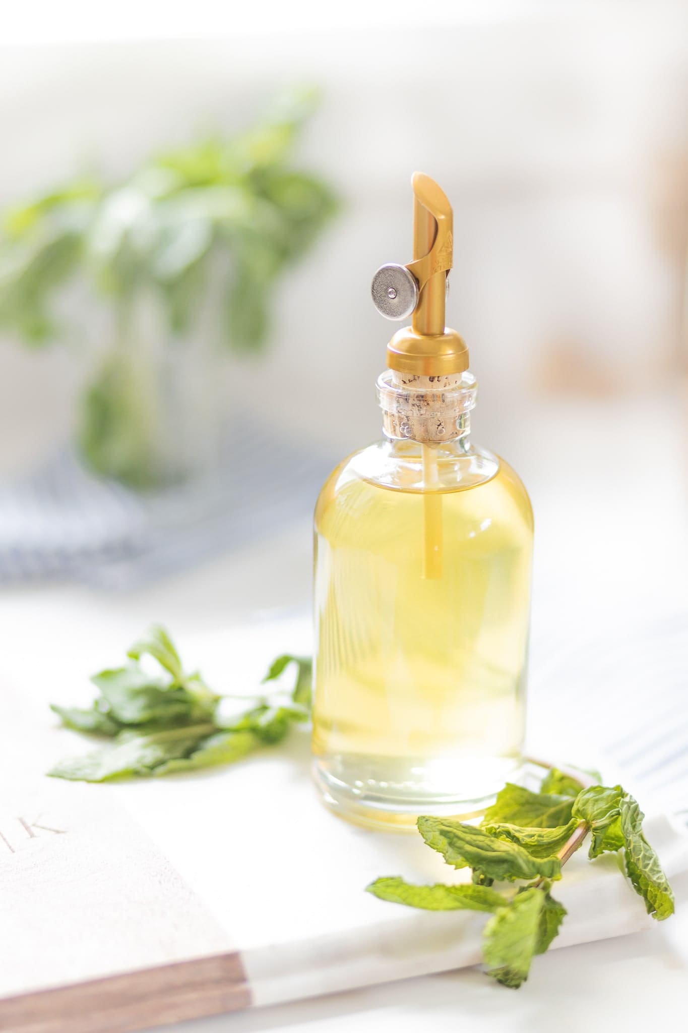 Mint infused simple syrup recipe from blogger Stephanie Ziajka on Diary of a Debutante Mint infused simple syrup recipe from blogger Stephanie Ziajka on Diary of a Debutante