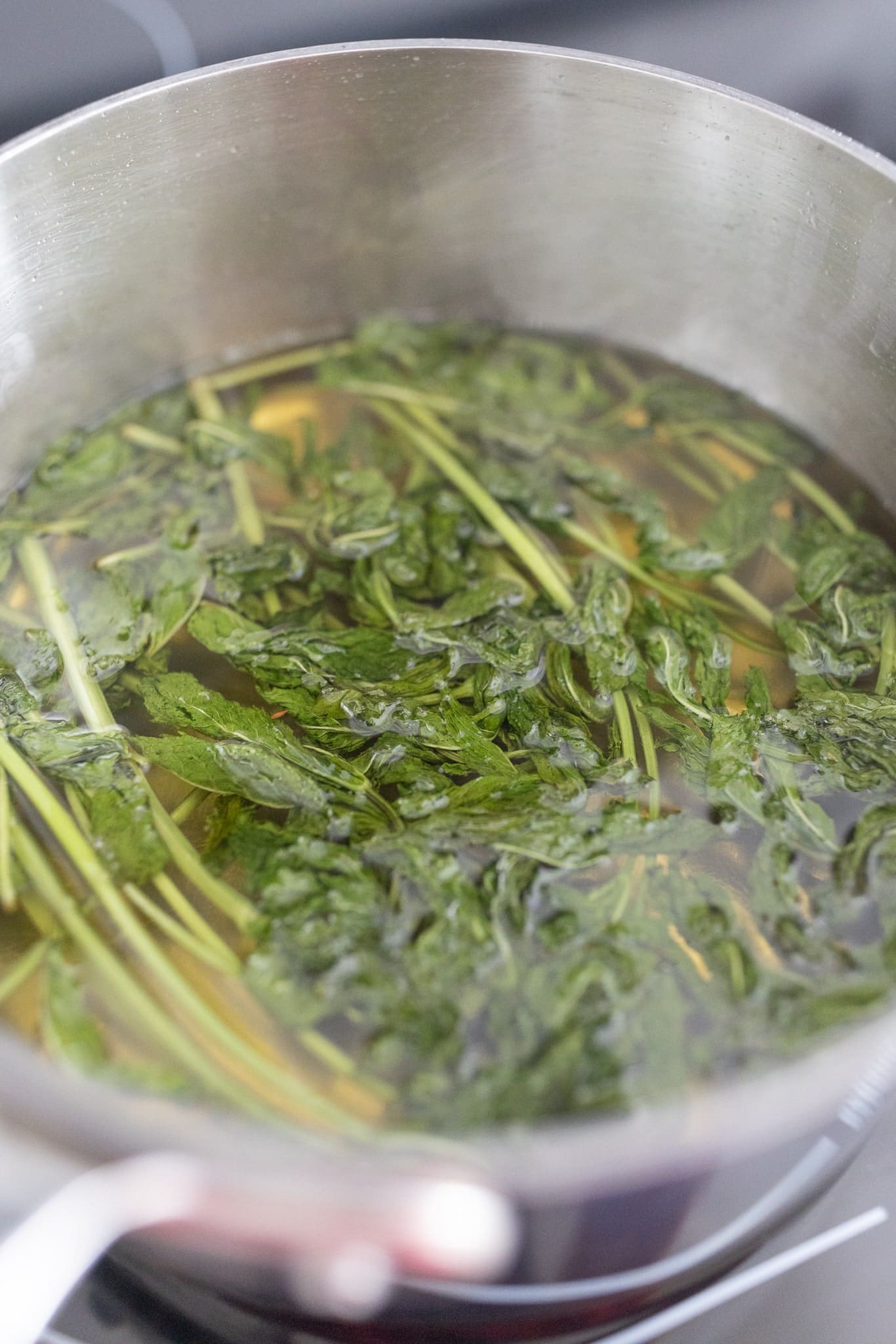 Mojito recipe simple syrup from blogger Stephanie Ziajka on Diary of a Debutante Mojito recipe simple syrup from blogger Stephanie Ziajka on Diary of a Debutante