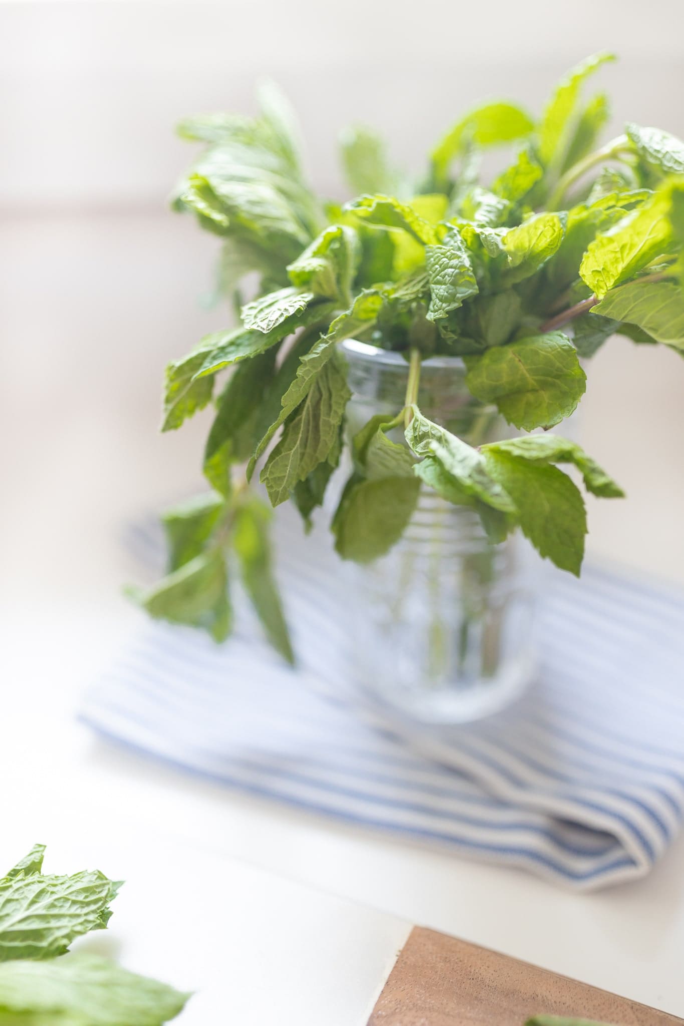 Fresh mint sprigs on Diary of a Debutante Fresh mint sprigs on Diary of a Debutante