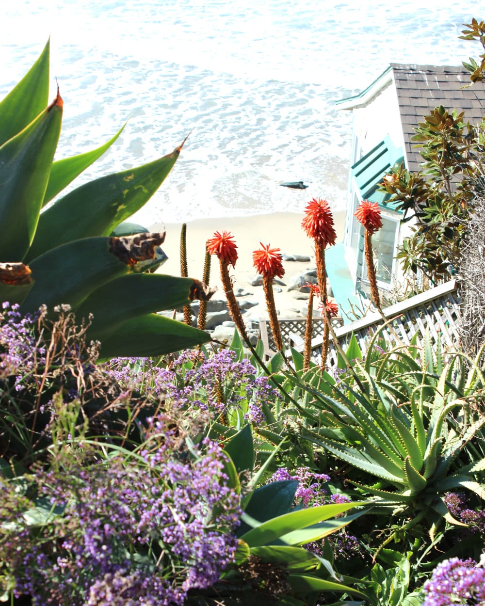 Laguna Beach, California, Orange County, Beautiful Beaches, Stephanie Ziajka, Diary of a Debutante