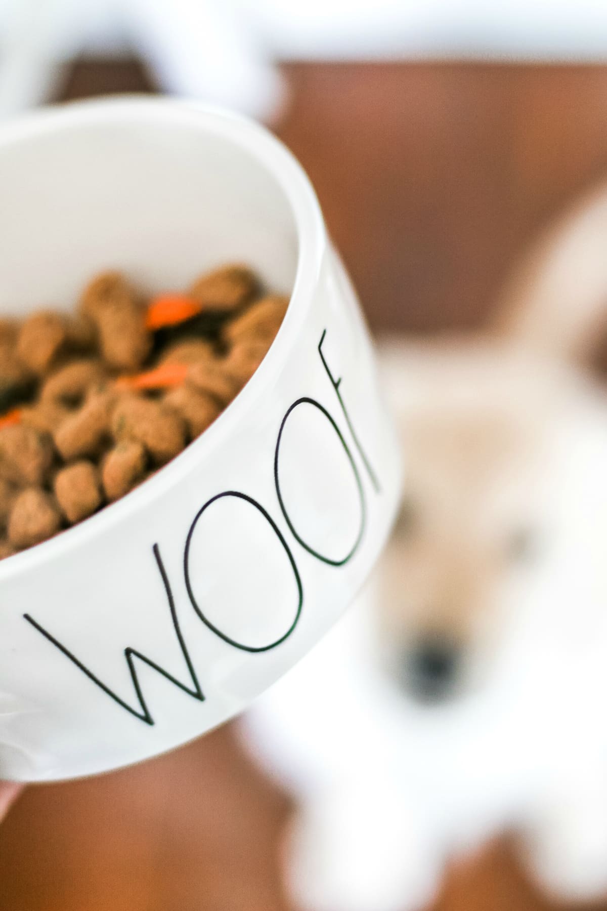 Our Nala Girl: Life As a New Puppy Mom by southern lifestyle blogger and golden retriever puppy mom Stephanie Ziajka from Diary of a Debutante, golden retriever dog food recommendations, new golden retriever puppy, Freshpet dog food review