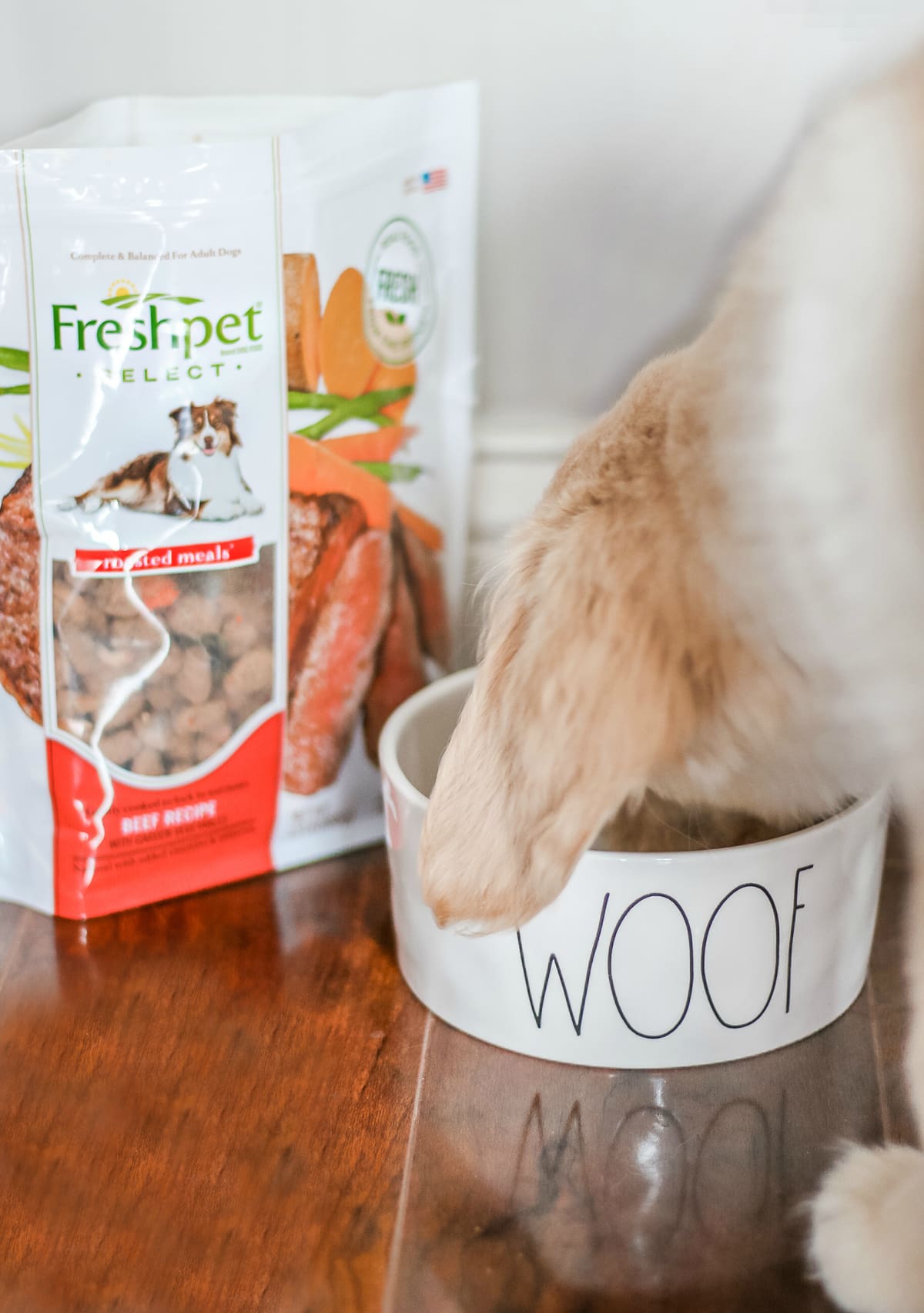 Our Nala Girl: Life As a New Puppy Mom by southern lifestyle blogger and golden retriever puppy mom Stephanie Ziajka from Diary of a Debutante, golden retriever dog food recommendations, new golden retriever puppy, Freshpet dog food review Our Nala Girl: Life As a New Puppy Mom by southern lifestyle blogger and golden retriever puppy mom Stephanie Ziajka from Diary of a Debutante, golden retriever dog food recommendations, new golden retriever puppy, Freshpet dog food review
