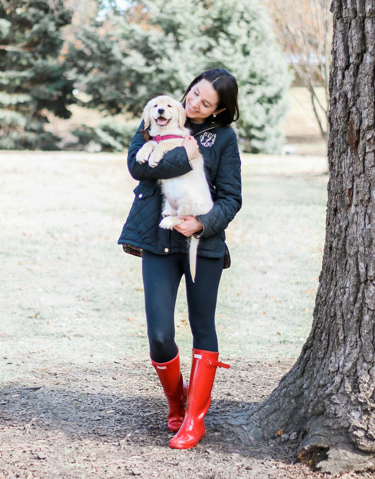 golden retriever puppy in the snow, Our Nala Girl: Life As a New Puppy Mom by southern lifestyle blogger and golden retriever puppy mom Stephanie Ziajka from Diary of a Debutante, golden retriever dog food recommendations, new golden retriever puppy, Freshpet dog food review golden retriever puppy in the snow, Our Nala Girl: Life As a New Puppy Mom by southern lifestyle blogger and golden retriever puppy mom Stephanie Ziajka from Diary of a Debutante, golden retriever dog food recommendations, new golden retriever puppy, Freshpet dog food review