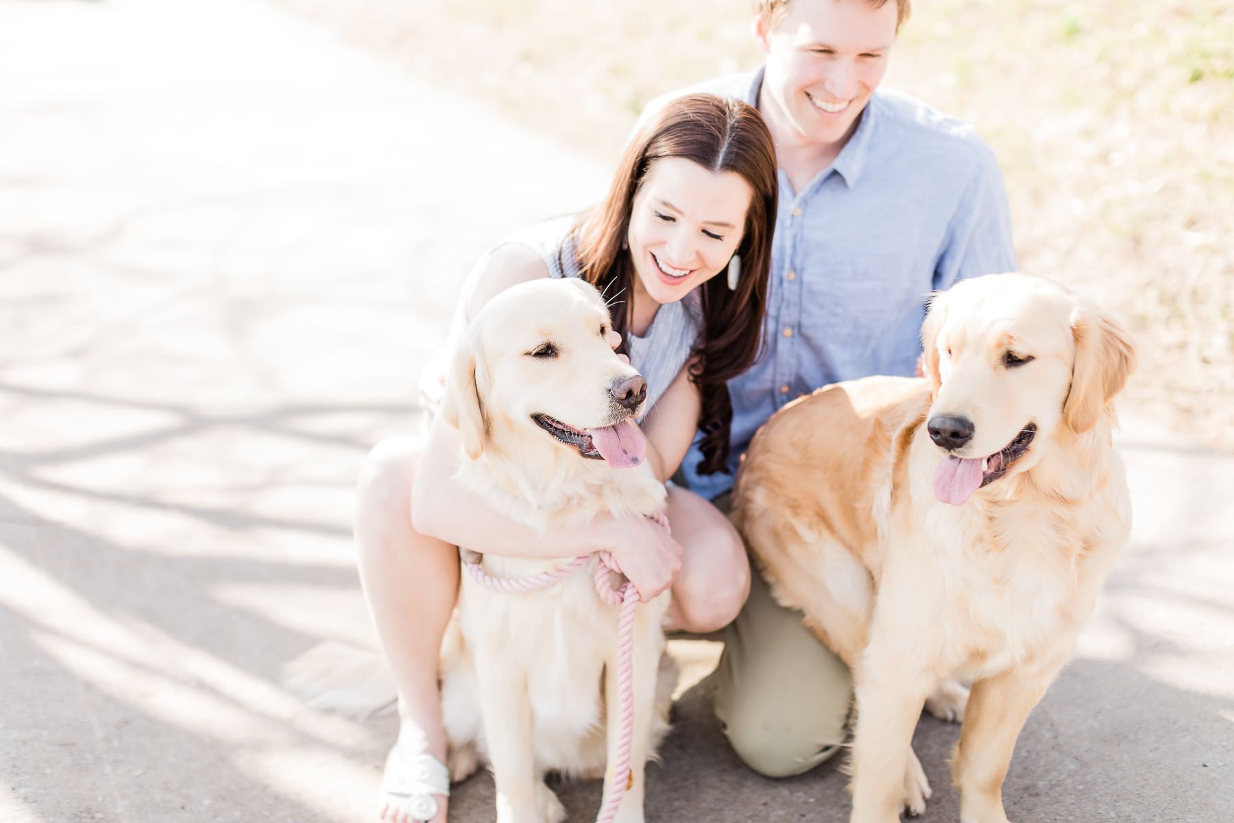 How to Keep Your Dogs Flea and Tick Free: A PetArmor Plus Review by popular southern lifestyle blogger Stephanie Ziajka from Diary of a Debutante, PetArmor Plus for Dogs review, PetArmor Plus reviews, PetArmor Plus for Dogs at PetSmart, cute golden retriever puppies How to Keep Your Dogs Flea and Tick Free: A PetArmor Plus Review by popular southern lifestyle blogger Stephanie Ziajka from Diary of a Debutante, PetArmor Plus for Dogs review, PetArmor Plus reviews, PetArmor Plus for Dogs at PetSmart, cute golden retriever puppies