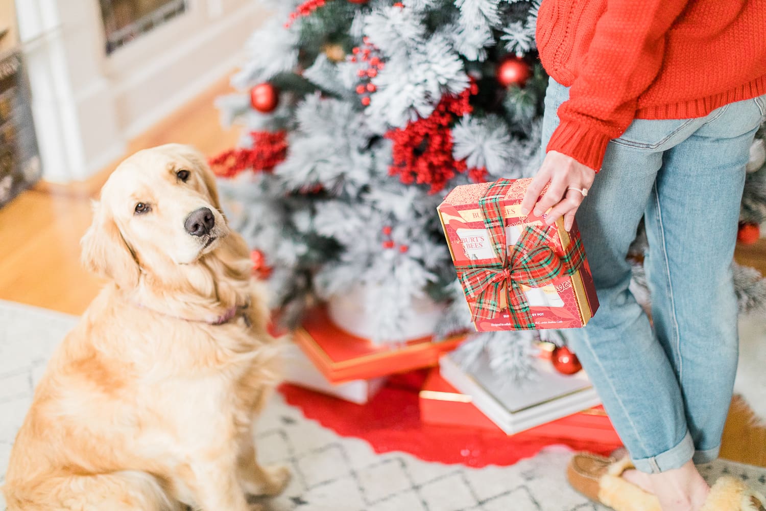 cute golden retriever puppy, christmas golden retriever, nellie the golden retriever cute golden retriever puppy, christmas golden retriever, nellie the golden retriever